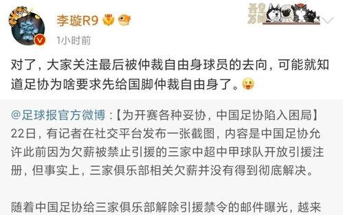 李璇爆料越南视频,揭秘背后惊人内幕  第2张